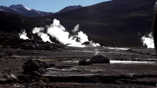 El tatio geyser met toerist van links naar rechts — Stockvideo
