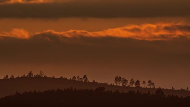 Пагорби на заході сонця з деревами на краю — стокове відео