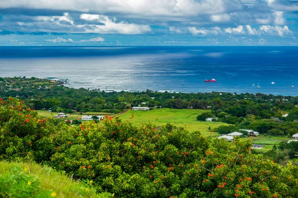 Top view of bright green Rapa Nui coastline — 스톡 사진