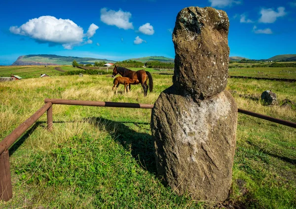 Moai isolado com cavalos no fundo — Fotografia de Stock