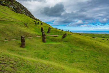 Eğri Moais 'ler taş ocağında, Rapa Nui adasında.