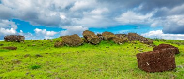 Many moai statues laid down on the ground under the clouds