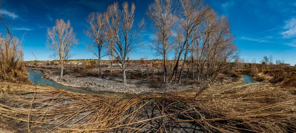 Fire near the river with trees and canes burnt — Stockfoto