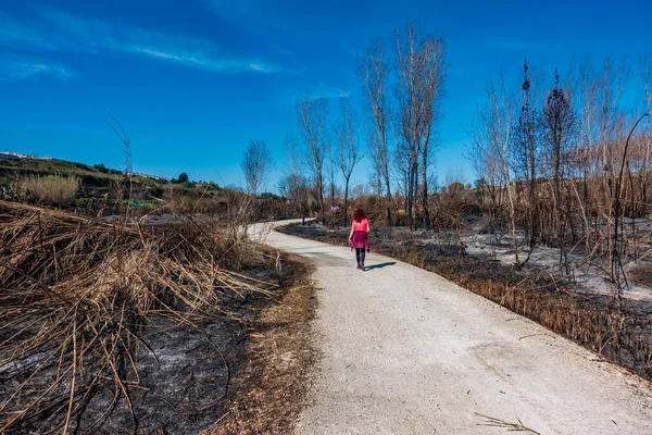 Track en volledig verbrand gebied na brand met mensen — Stockfoto