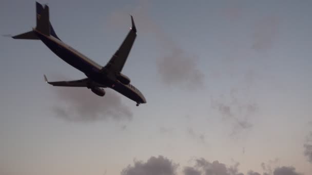 Самолет приземляется в сумерках на фоне неба, вид сзади — стоковое видео
