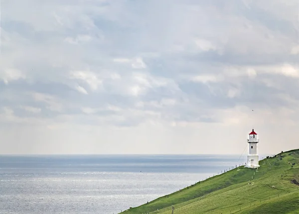 羊と丘の中腹に赤いキャップを持つ灯台 — ストック写真