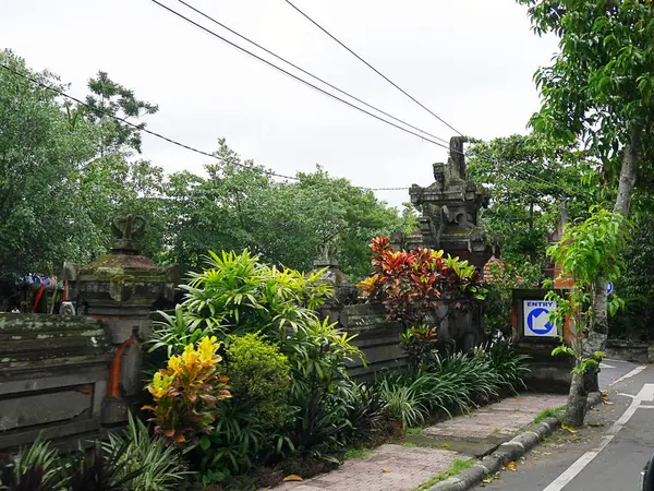 Prachtige Natuur Bali Groene Landschap — Stockfoto