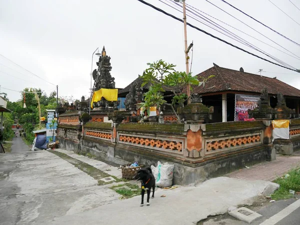 Schöne Architektur Bali Schöne Häuser Bali — Stockfoto