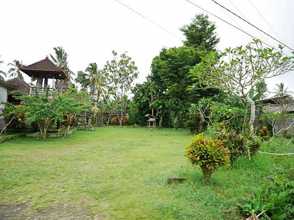 Vacker Natur Bali Grönt Landskap — Stockfoto