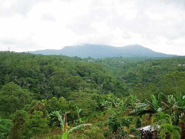 Vacker Natur Bali Grönt Landskap — Stockfoto