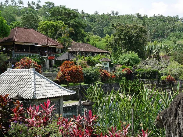 Bella Natura Bali Paesaggio Verde — Foto Stock