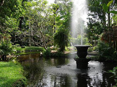 Bali, yeşil manzara güzel doğa