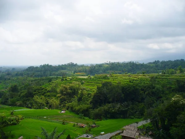 Hermosos Campos Arroz Campos Arroz Bali Hermosa Naturaleza — Foto de Stock