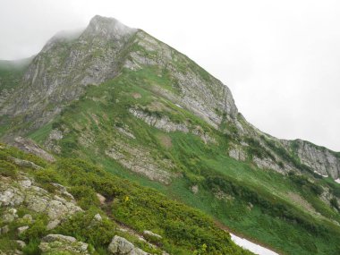 Yaz, yüksek dağlar çok güzel Dağları, Yeşil dağlar, kar