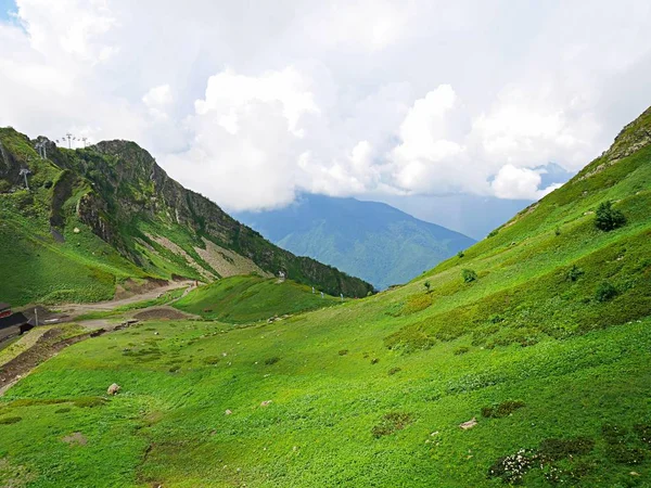 夏には 高山の非常に美しい山々 緑豊かな山々 — ストック写真