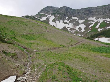 Yaz, yüksek dağlar çok güzel Dağları, Yeşil dağlar, kar