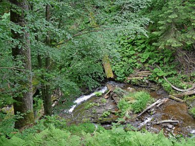 Güzel şelaleler ormandaki Rusya'da şelaleler