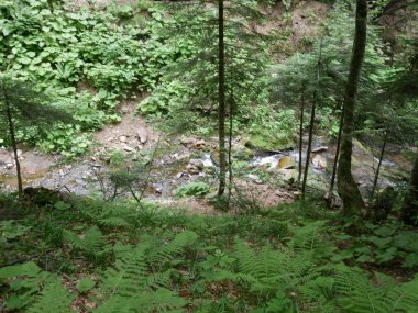 Güzel şelaleler ormandaki Rusya'da şelaleler