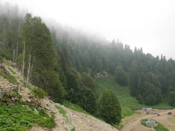 Niebla Fuerte Las Montañas Niebla Espesa Montañas Niebla — Foto de Stock