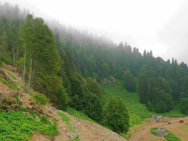 強い霧山 霧の山 — ストック写真