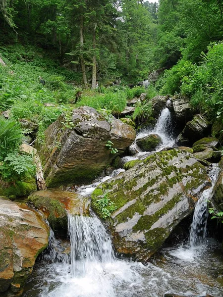 Beautiful waterfalls in the forest, waterfalls in Russia