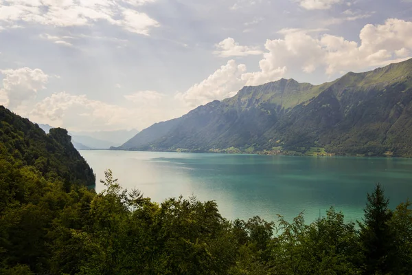 Vista Del Lago Brienz Valle Del Interlake Suiza —  Fotos de Stock