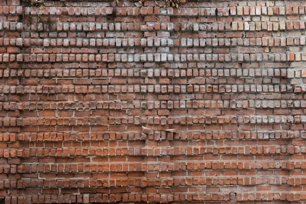 Old Brick Background Texture Pattern Big Red Brick Wall — Stock Photo, Image