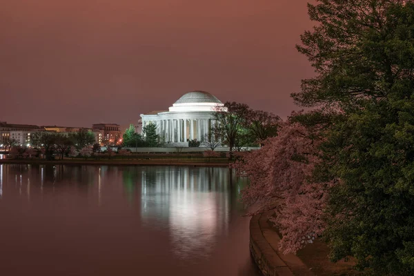 Noche en Jefferson Memorial en Cherry Blossom —  Fotos de Stock