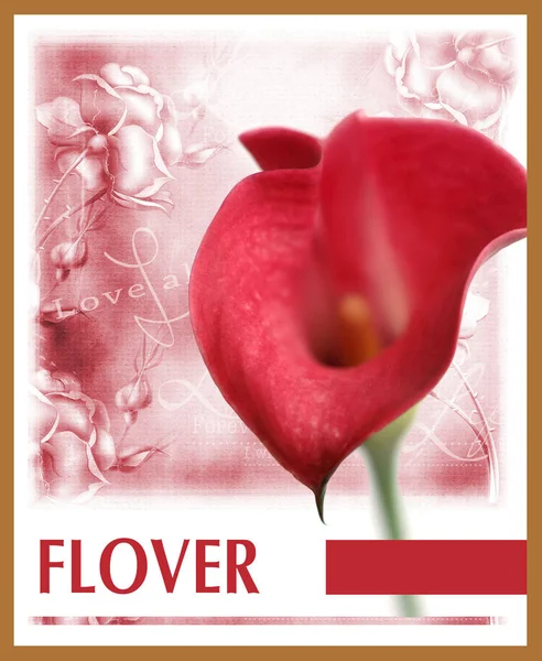 Collage Created Basis Bouquet Flowers Uniform Vintage Background Faint Impression — Stock Photo, Image