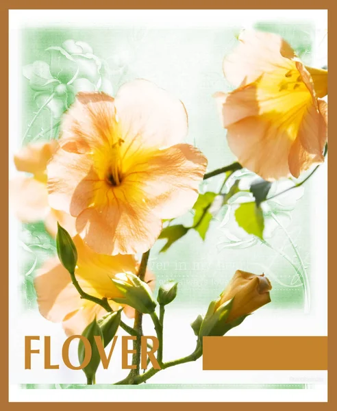 The collage was created on the basis of a bouquet of flowers, on a uniform vintage background with a faint impression of flowers. For cards, invitations, covers.