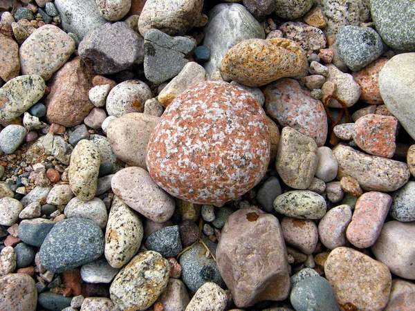 Pedras Margem Rio Com Uma Pegada Molhada — Fotografia de Stock