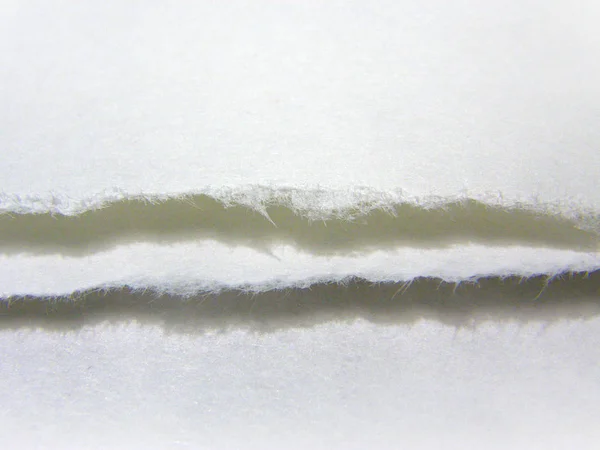 Bir kağıdın yırtık kenarı büyütülmüş, görünür yapı altında.     