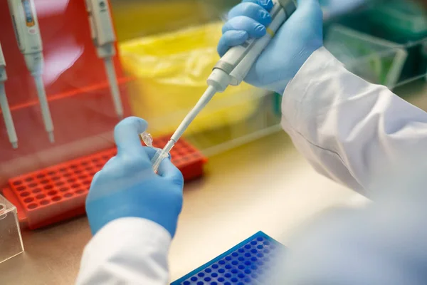 Cientista Realiza Pesquisa Laboratório — Fotografia de Stock