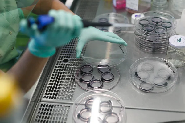 Cientista Realiza Pesquisa Laboratório — Fotografia de Stock