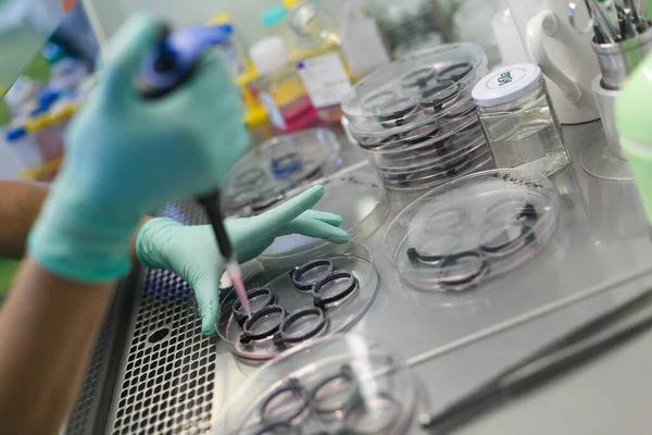 Cientista Realiza Pesquisa Laboratório — Fotografia de Stock