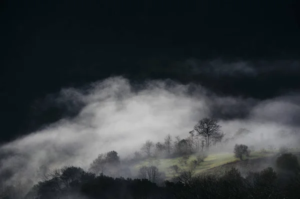 Paisaje con niebla montaña — Foto de Stock