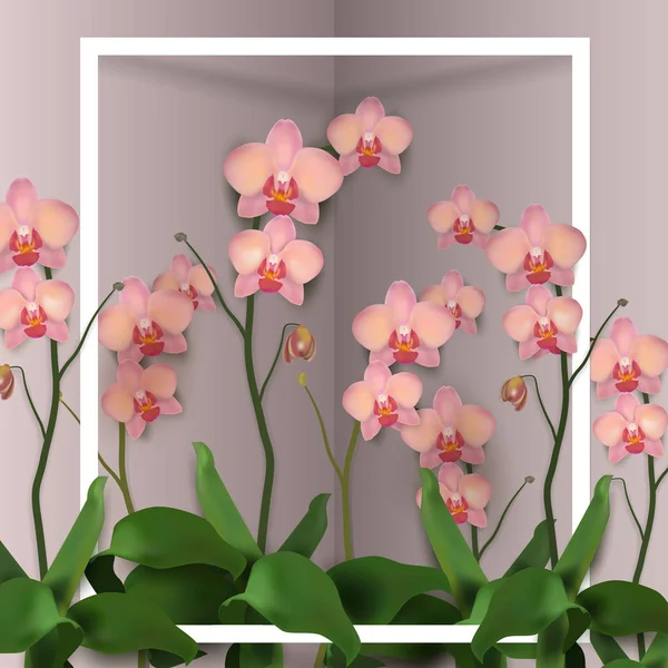 Flor orquídeas Vector Ilustración rosa — Vector de stock