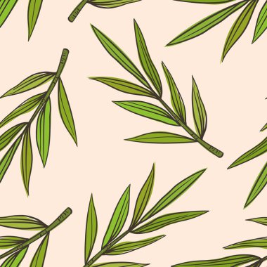 tropikal bırak palmiye ağacı görüntü