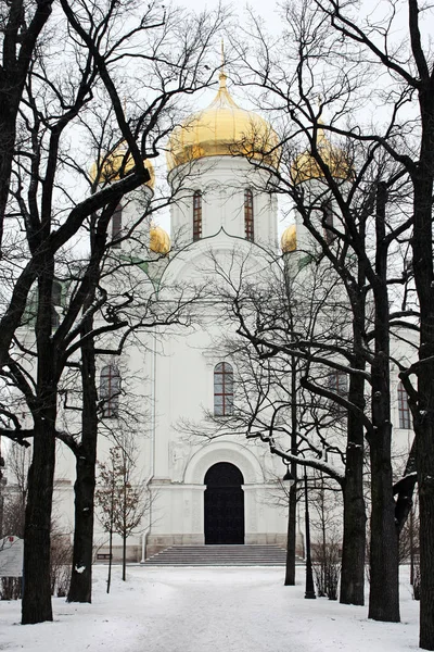 Русский православный собор в зимний день — стоковое фото