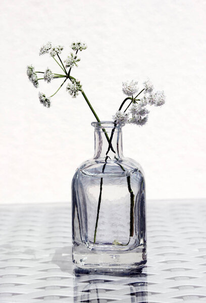 Wildflowers in a Glass Jar