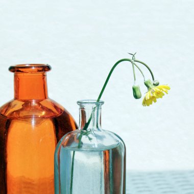 İki cam kavanoz ve kır çiçeği