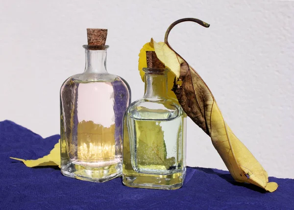 Невеликий пляшки і жовтими листами — стокове фото