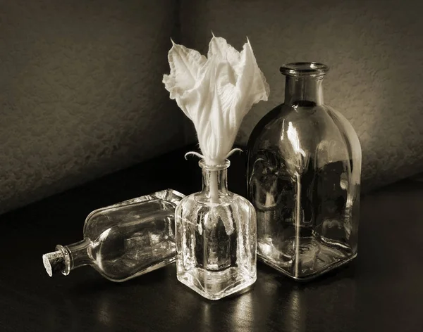 Три невеликі пляшки і гарбуз квітка — стокове фото