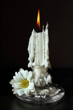 Burning candle and daisy flower