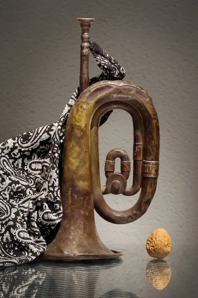 stock image Still life with vintage kerchief, whole walnut and old military bugle against a low key background with amazing reflections.  Selective soft focus and space for your text.