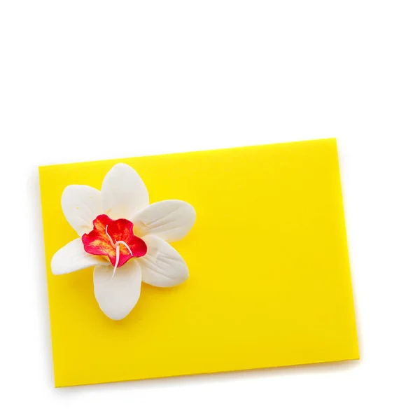 Nahaufnahme eines gelben Umschlags mit Blume — Stockfoto