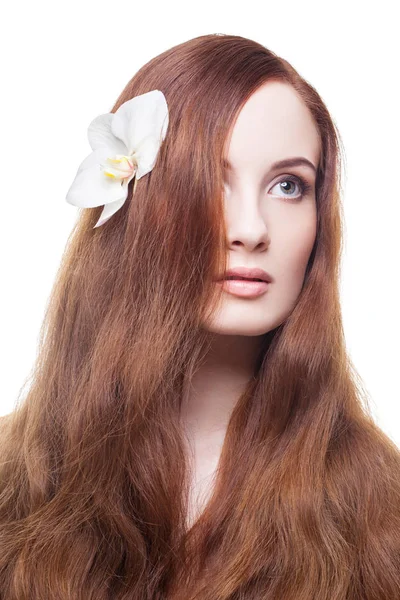 Gyönyörű lány, hosszú vörös, barna haj — Stock Fotó
