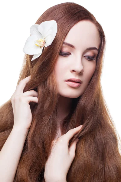 Hermosa chica con el pelo largo de color rojo marrón — Foto de Stock