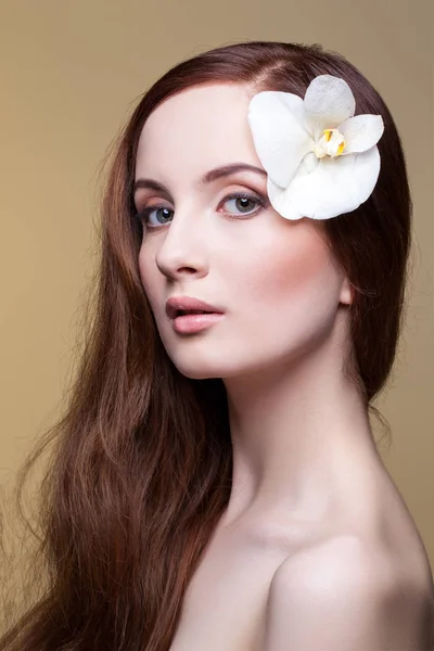 Menina bonita com longos cabelos castanhos vermelhos — Fotografia de Stock