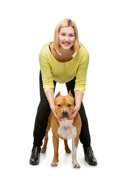 Menina com cão amstaff — Fotografia de Stock